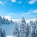 Domzalski Dom Na Veliki Planini * Stahovica