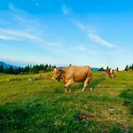 Domzalski Dom Na Veliki Planini Hotel Stahovica