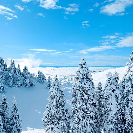 Domzalski Dom Na Veliki Planini * Stahovica