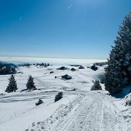 Domzalski Dom Na Veliki Planini
