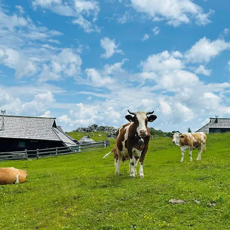 Hotel Domzalski Dom Na Veliki Planini