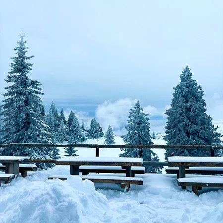 Domzalski Dom Na Veliki Planini Stahovica