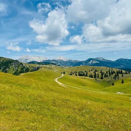 Domzalski Dom Na Veliki Planini ホテル