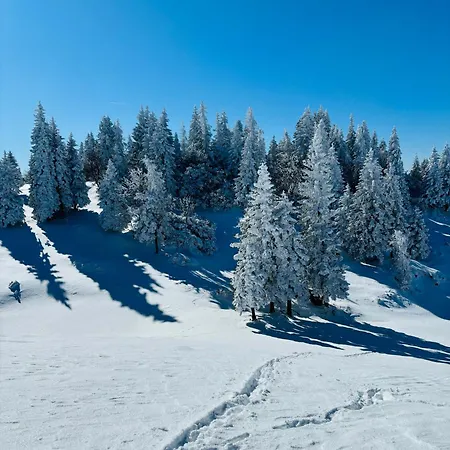 Domzalski Dom Na Veliki Planini ホテル