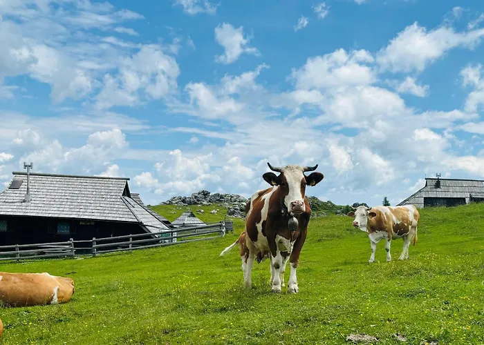 Hotel Domzalski Dom Na Veliki Planini
