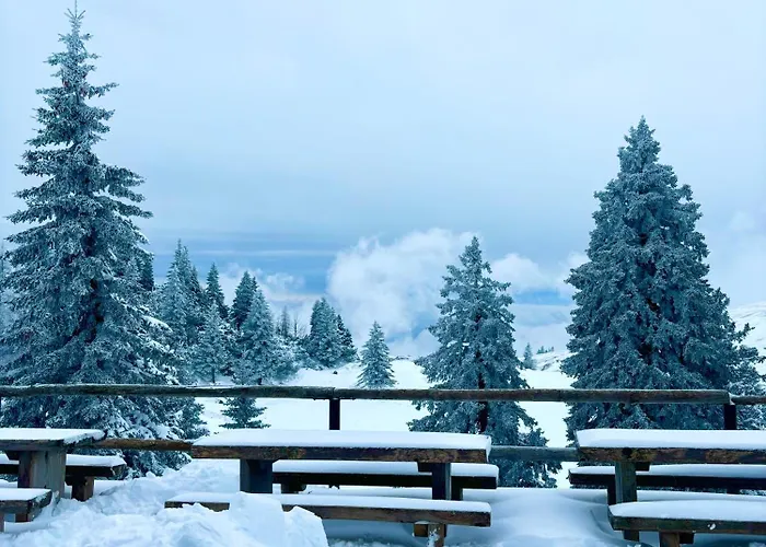 Domzalski Dom Na Veliki Planini Stahovica