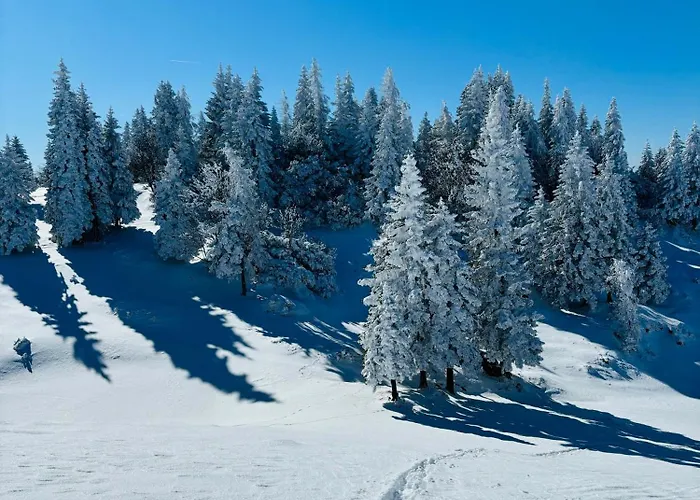 Domzalski Dom Na Veliki Planini Ξενοδοχείο